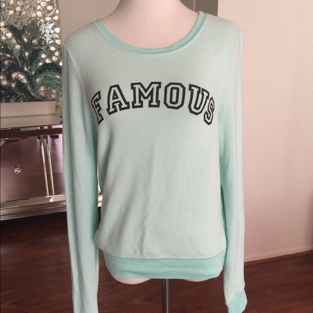 Wildfox Mint Sweater with “Famous” print sz M